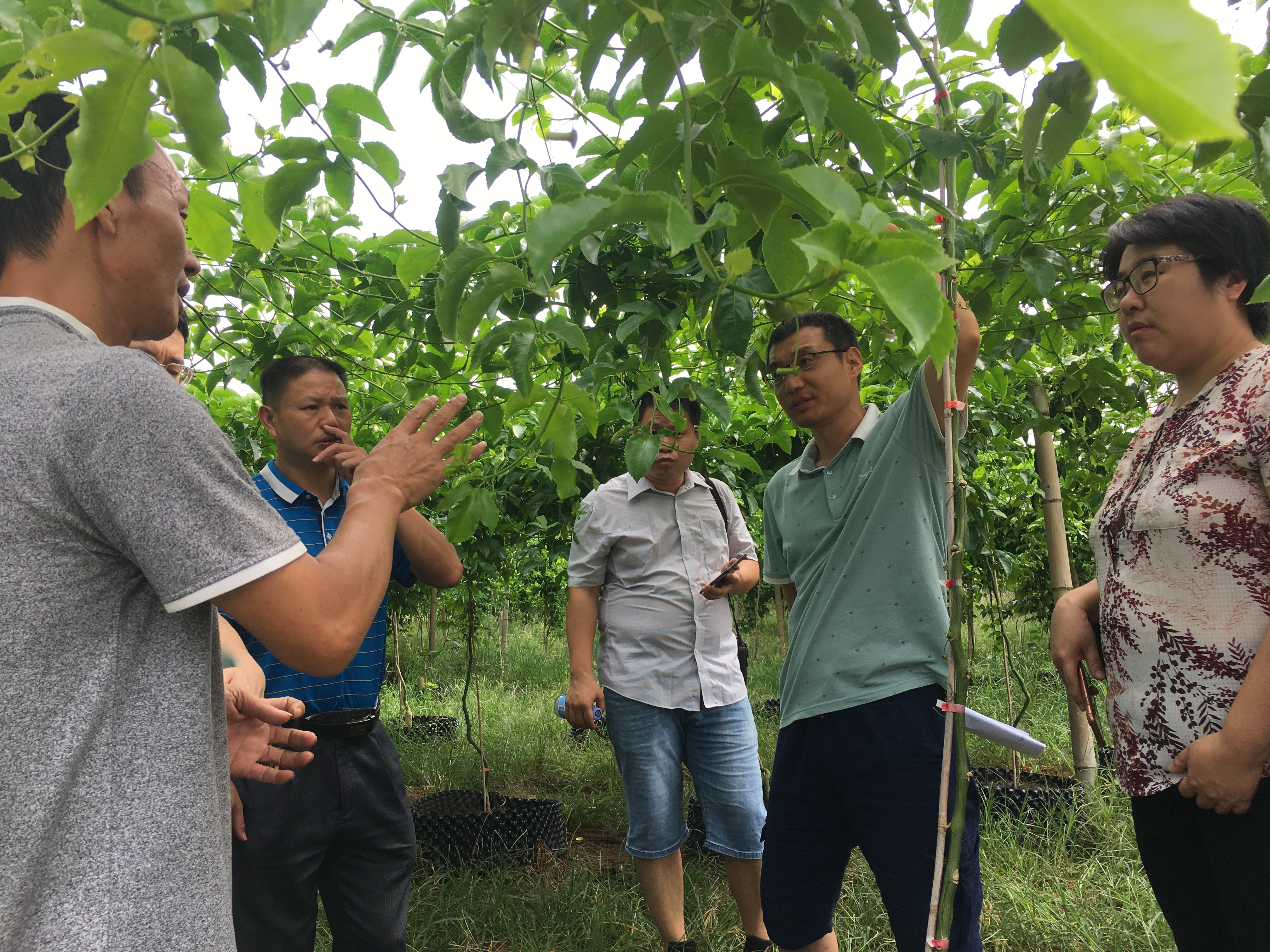 微信图片_20200811100542