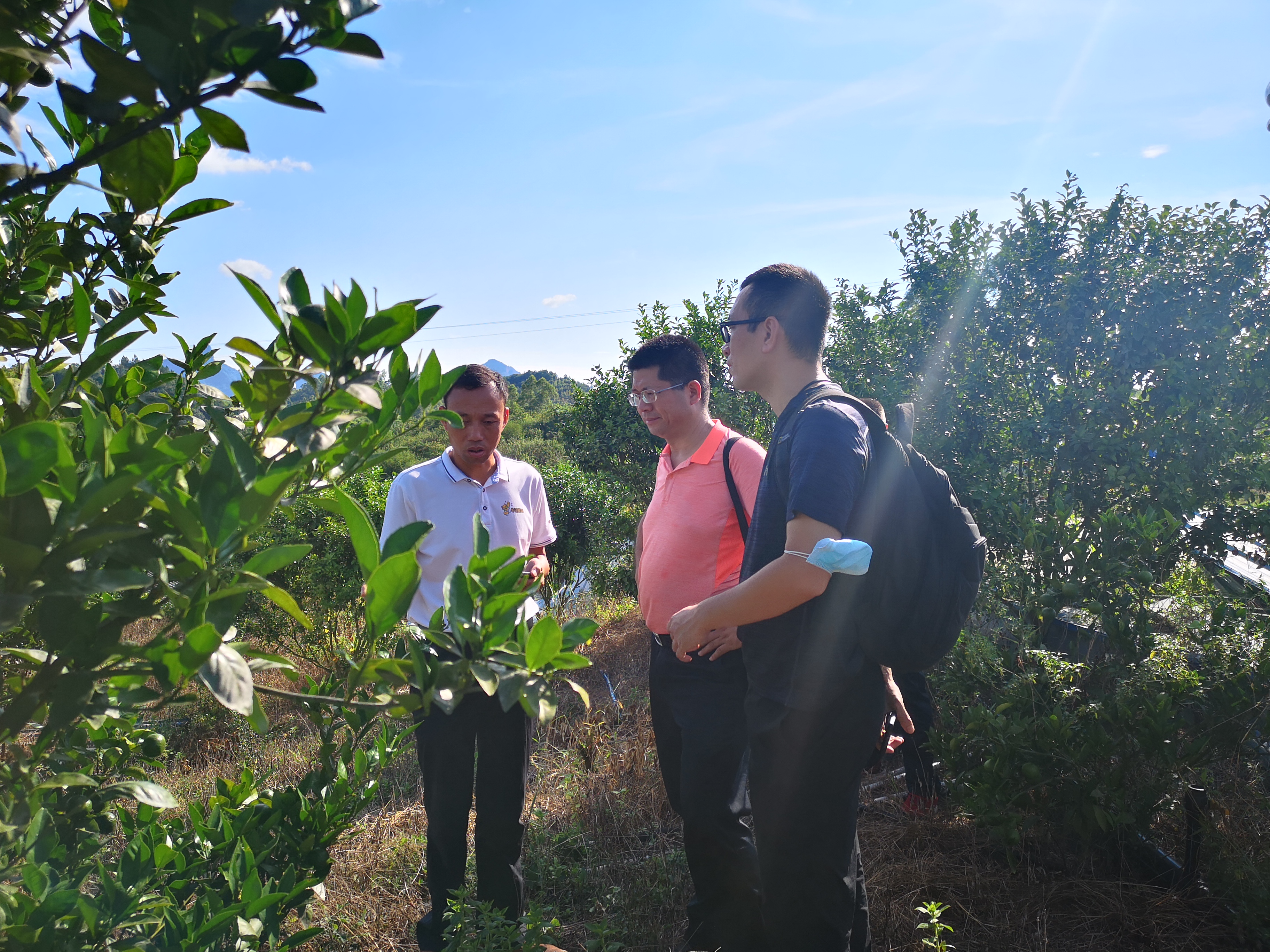 微信图片_20200811100106